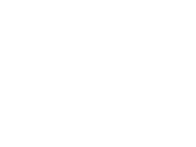 izdavanje-registracione-nalepnice